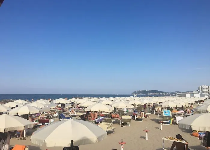 Novella Отель